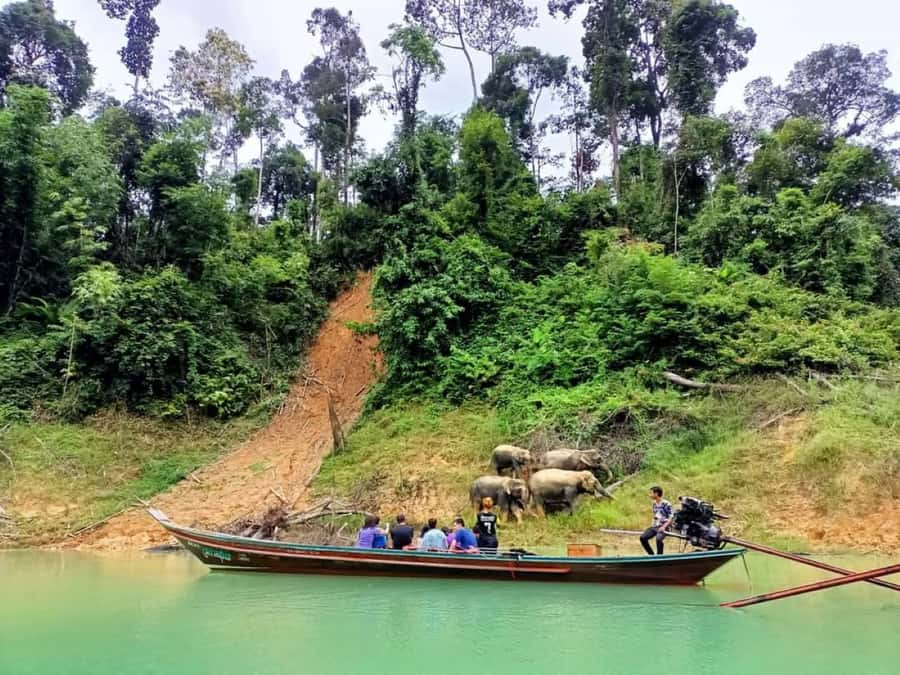 Khao Lak: Cheow Lan Lake Romantic Sunset Cruise with Drinks - The viewpoint stop before the boat: short, scenic, and useful