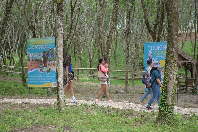 Khao Lak Eco-Safari: Elephants, Tsunami Museum, and Turtles - Why Khao Lak Eco-Safari feels different from a typical day trip