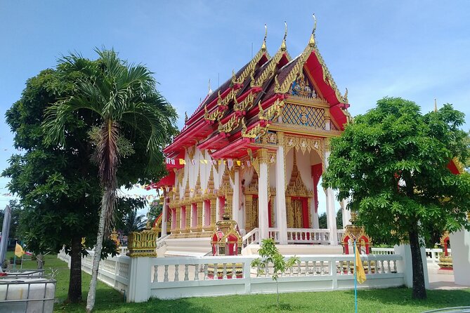 Khao Lak Eco-Safari: Elephants, Tsunami Museum, and Turtles - Turtle nursery with the Royal Thai Navy: conservation you can see