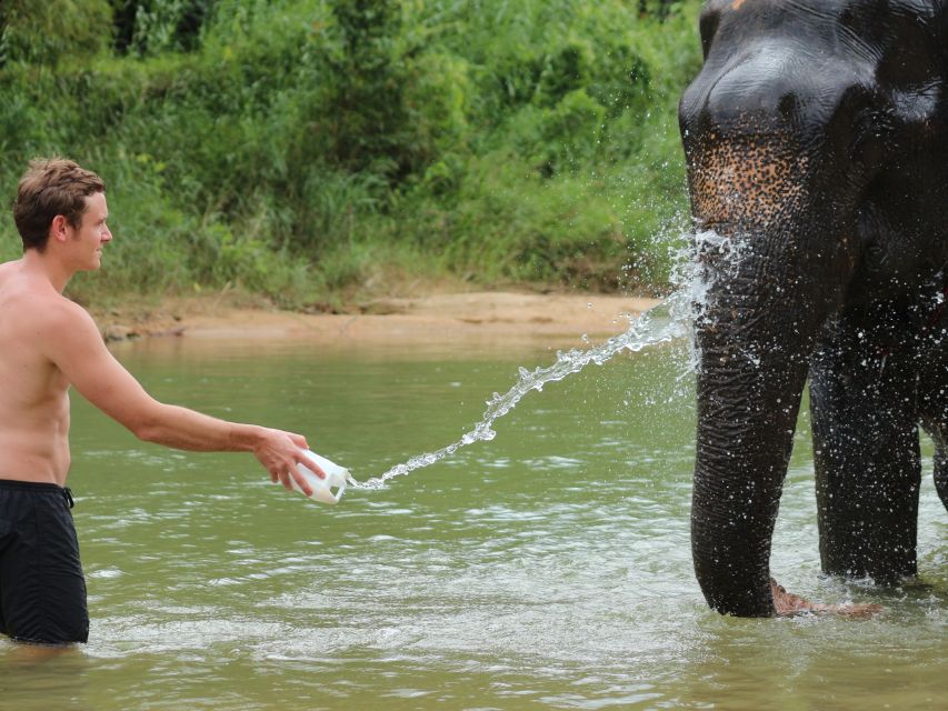 Khao Lak: Elephant Bathing and Turtle Center Visit - Who this is for, and who should skip it