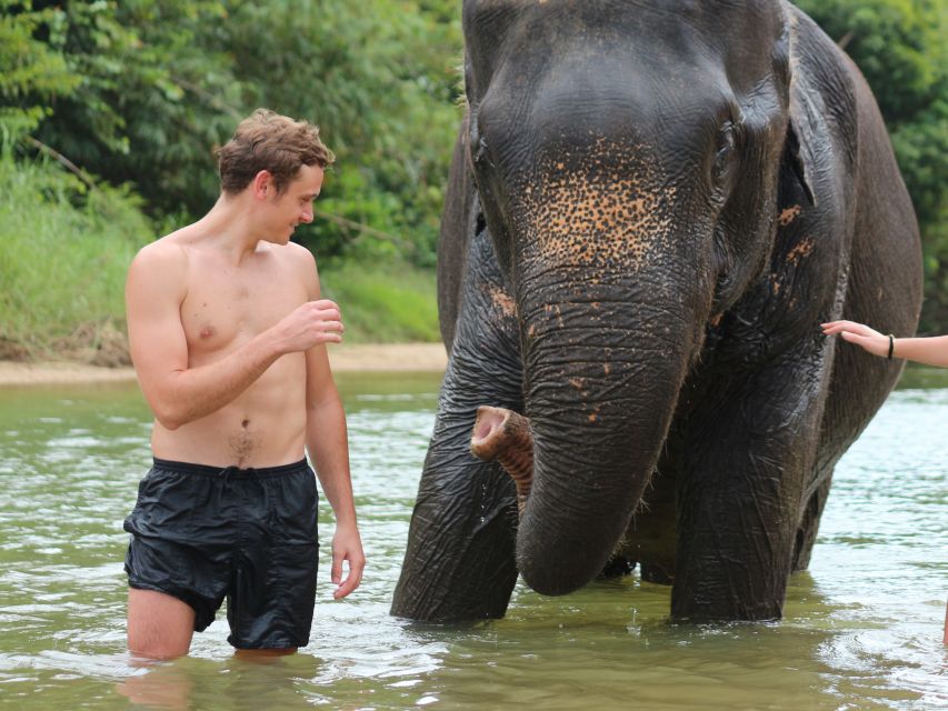 Khao Lak: Elephant Bathing and Turtle Center Visit - Elephant bathing with mahouts: feeding, scrubbing, and calm up close moments