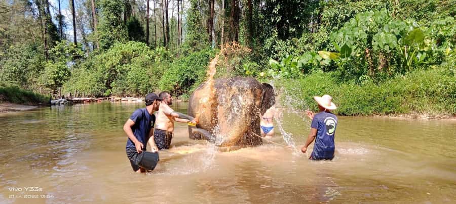 Khao Lak Ethical Adventure: Rafting, Turtles & Elephants - Khao Lak pick-up and a 7-hour plan that stays on track