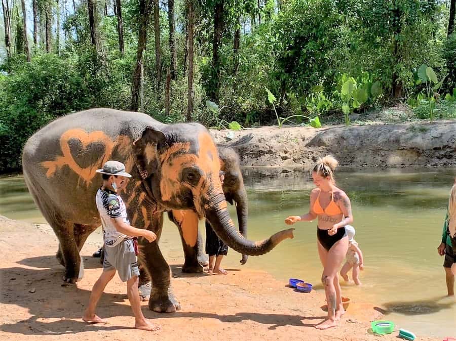 Khao Lak Ethical Adventure: Rafting, Turtles & Elephants - Bamboo rafting at Komol’s Corner: the jungle drift and the river-water reality