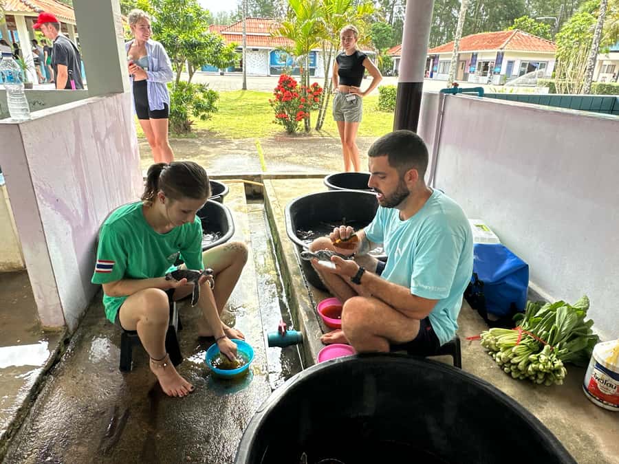 Khao Lak Ethical Adventure: Rafting, Turtles & Elephants - Wat Lak Kaen: an old temple visit that adds meaning to the day