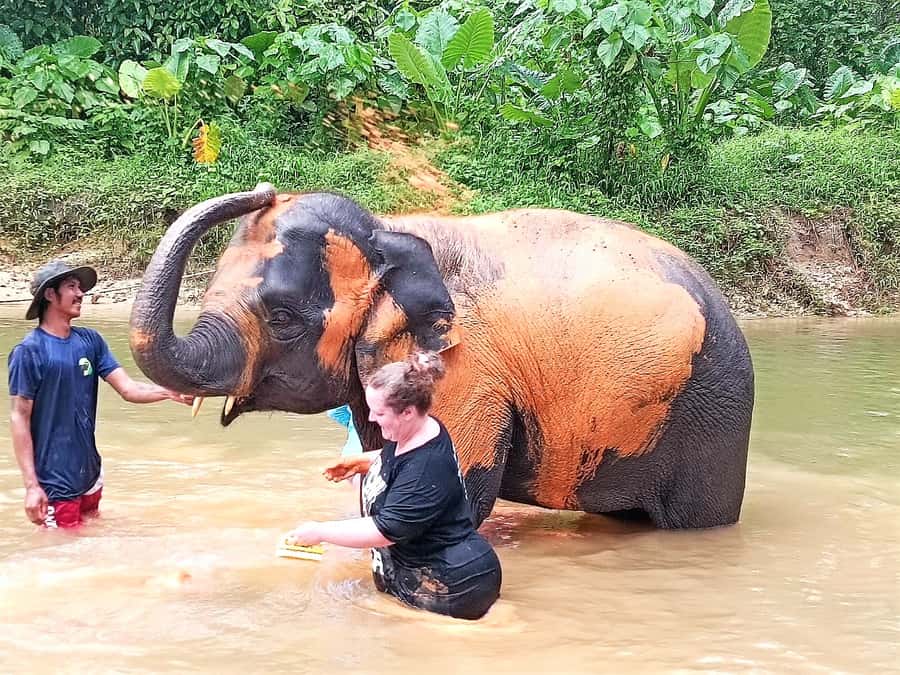 Khao Lak Ethical Adventure: Rafting, Turtles & Elephants - Police Boat 813 tsunami memorial: the stop that can change how you see the region