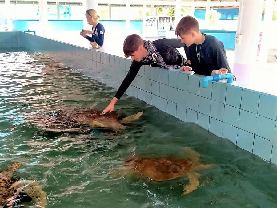Khao Lak Ethical Adventure: Rafting, Turtles & Elephants - Ethical elephant sanctuary: observation-only, calm walking, and safe viewing