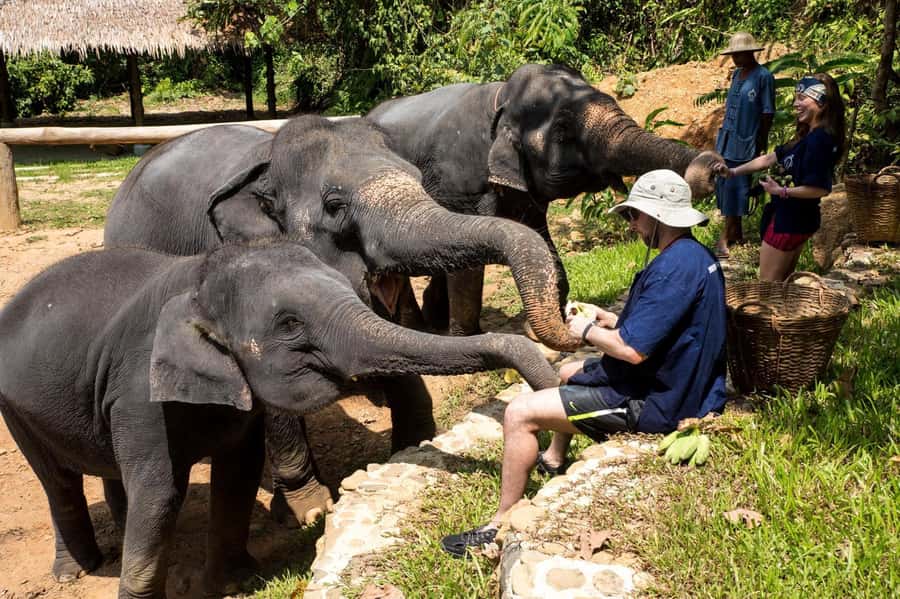 Khao Lak: Ethical Elephant Sanctuary Experience - Getting from Khao Lak to Phang Nga Elephant Park, and what to pack