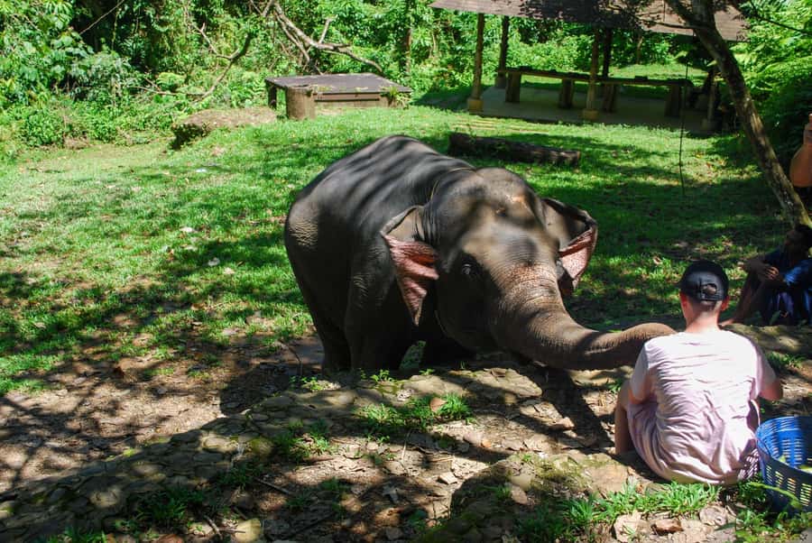Khao Lak: Ethical Elephant Sanctuary Experience - Rock pool bathing and shower time: choose your comfort level