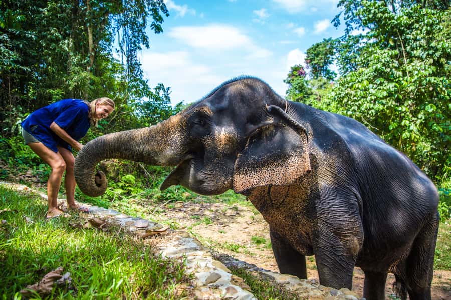 Khao Lak: Ethical Elephant Sanctuary Experience - Welcome drink, caretaker outfit, and the elephant routine you actually need to know