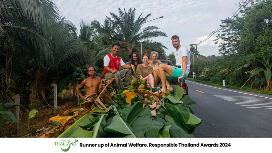 Khao Lak: Ethical Overnight Elephant Sanctuary Experience - Key points to know before you go