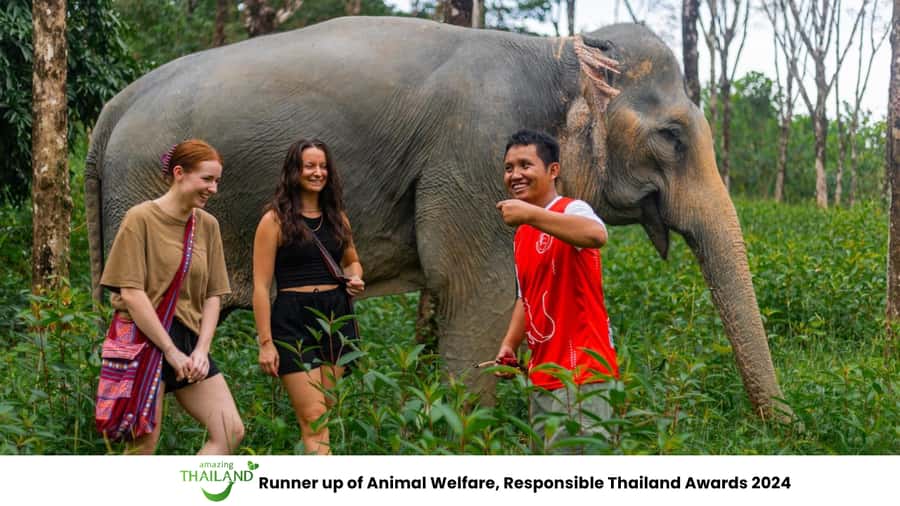 Khao Lak: Ethical Overnight Elephant Sanctuary Experience - Ethical Elephant Overnight: What welfare-first really means