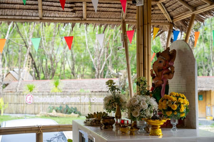 Khao Lak: Ethical Overnight Elephant Sanctuary Experience - The guide experience: why Tony and Bad Tony get name recognition