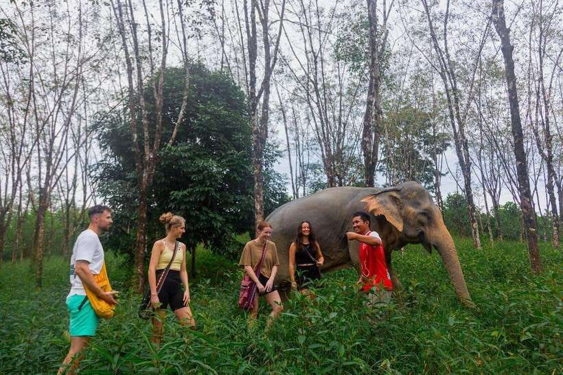 Khao Lak Guided Nature Walk & Elephant Experience - Khao Lak Elephant Sanctuary: What Makes This Encounter Ethical