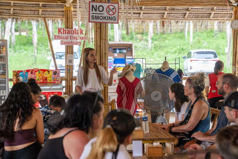 Khao Lak Guided Nature Walk & Elephant Experience - Who This Tour Fits Best in Your Trip