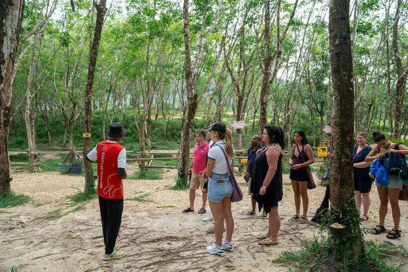 Khao Lak Guided Nature Walk & Elephant Experience - Food, Photos, and What to Plan Around