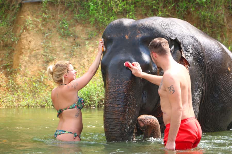 Khao Lak: Khao Sok Bamboo Rafting and Elephant Bathing Trip - Practical Tips: what to pack and how to avoid the common discomforts