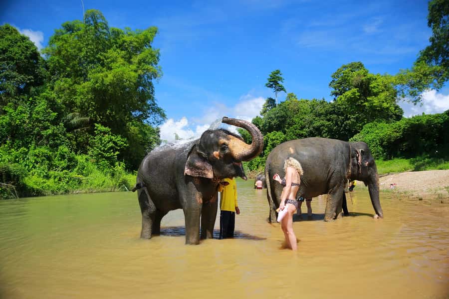 Khao Lak: Khao Sok National Park Overnight Treehouse Trip - Jungle trek with a local ranger, plus the cave stop