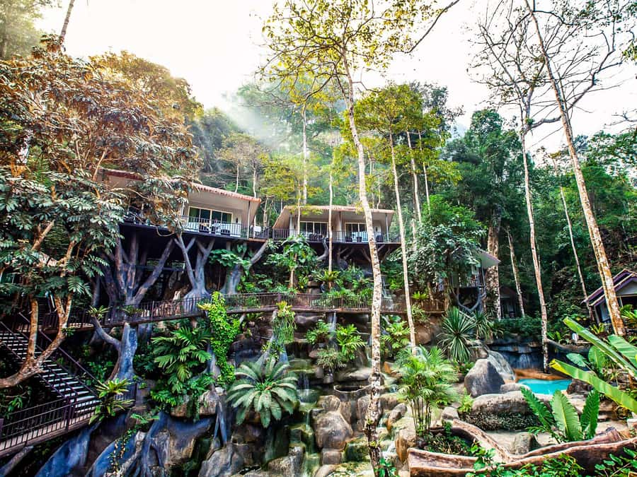 Khao Lak: Khao Sok National Park Overnight Treehouse Trip - From Khao Lak to Khao Sok: canoe time and elephant bathing