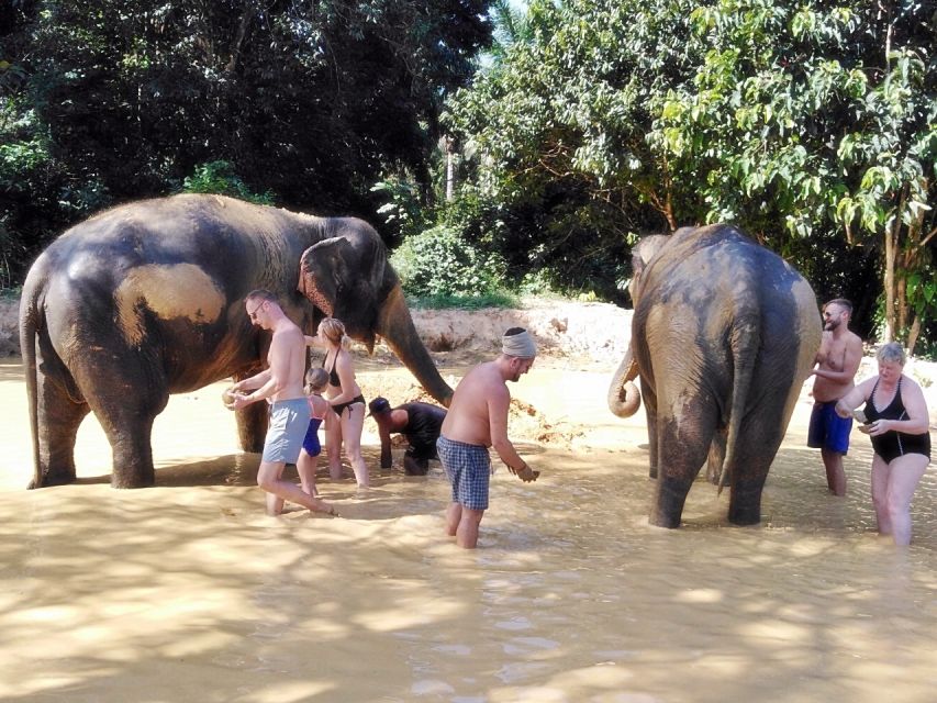 Khao Lak: Khao Sok Private Ethical Elephants & Rafting - Price and value: what you’re really paying for at $353 per group