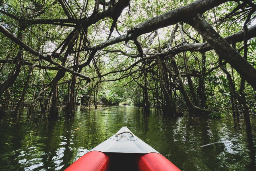 Khao Lak: Little Amazon Canoe Ride & Tam Nang Waterfall Tour - My call: should you book this Khao Lak canoe and waterfall tour?
