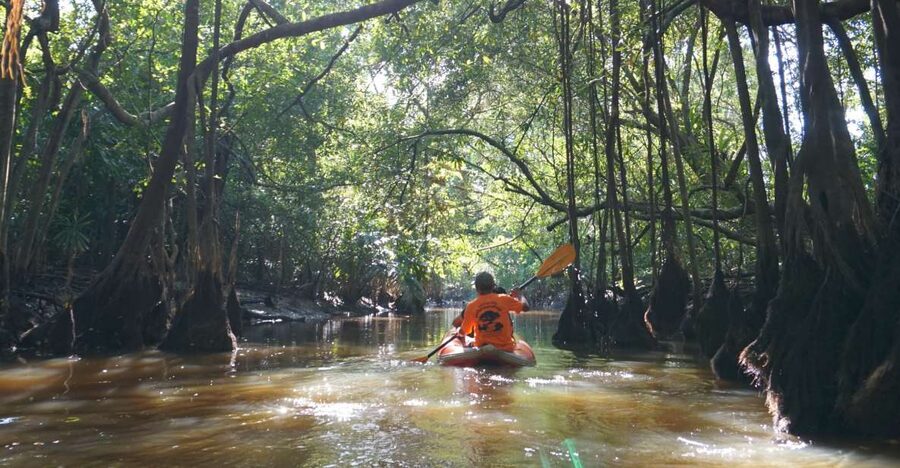 Khao Lak: Little Amazon Canoe Ride & Tam Nang Waterfall Tour - Getting from Khao Lak to the jungle start point