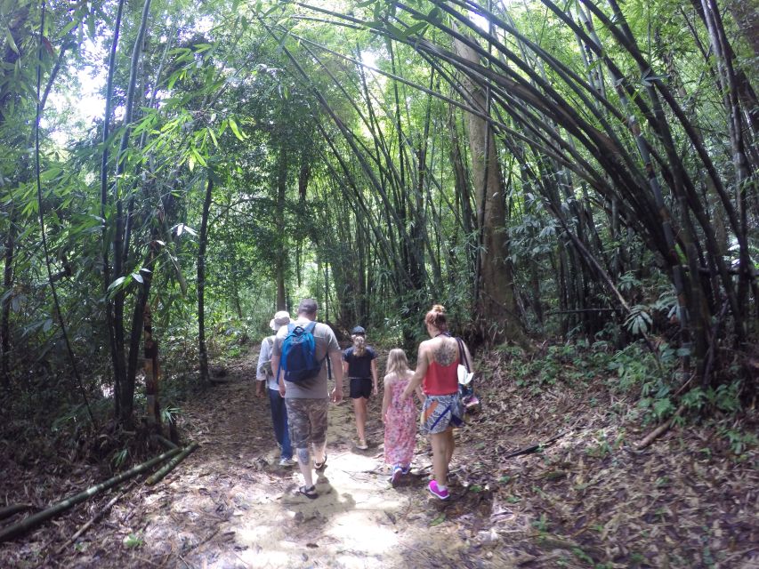 Khao Lak: Little Amazon Canoe Ride & Tam Nang Waterfall Tour - Who this tour suits best (and who should skip)
