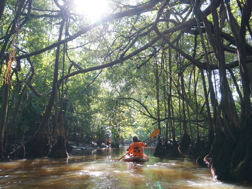 Khao Lak: Little Amazon Canoe Ride & Tam Nang Waterfall Tour - Price and value: is $61 worth it?