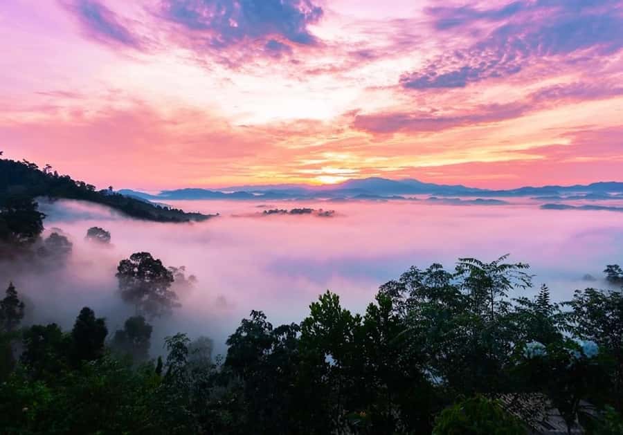 Khao Lak: Magical Sunrise above the Clouds at Khao Khai Nui - The 4WD ride to the viewpoint: fun for many, intense for some