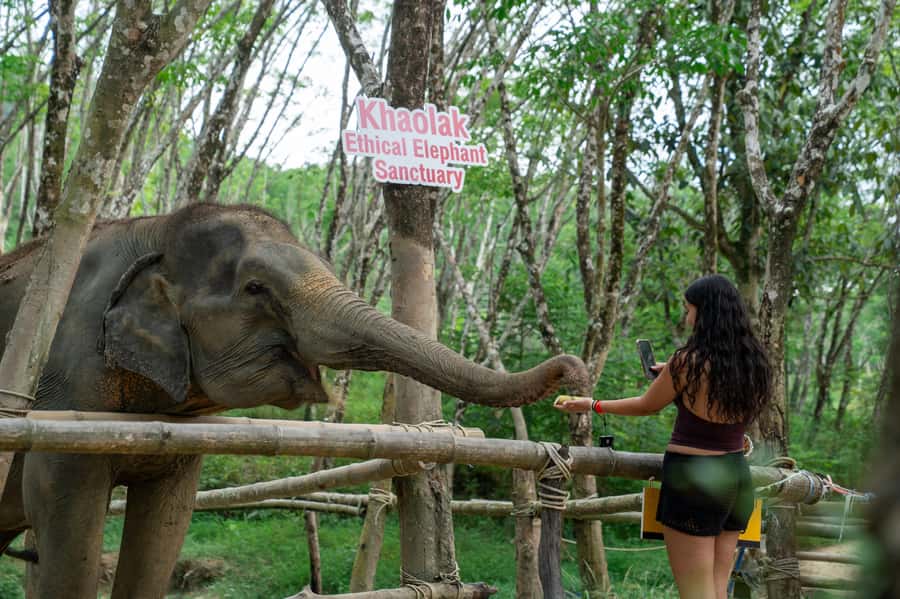 Khao Lak Multi-Adventure: Bamboo Rafting, ATV & Elephants - Group size, pacing, and the transport that actually works