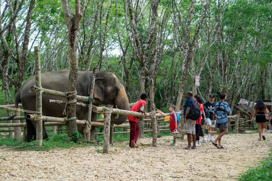 Khao Lak Multi-Adventure: Bamboo Rafting, ATV & Elephants - Who should book this Khao Lak Multi-Adventure tour
