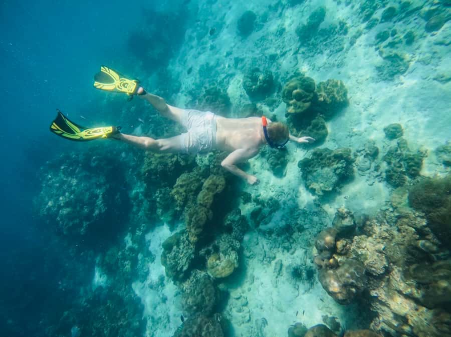 Khao Lak: Phi Phi & Bamboo Island Day Trip by Speedboat - Price and value: is $125 a fair deal?