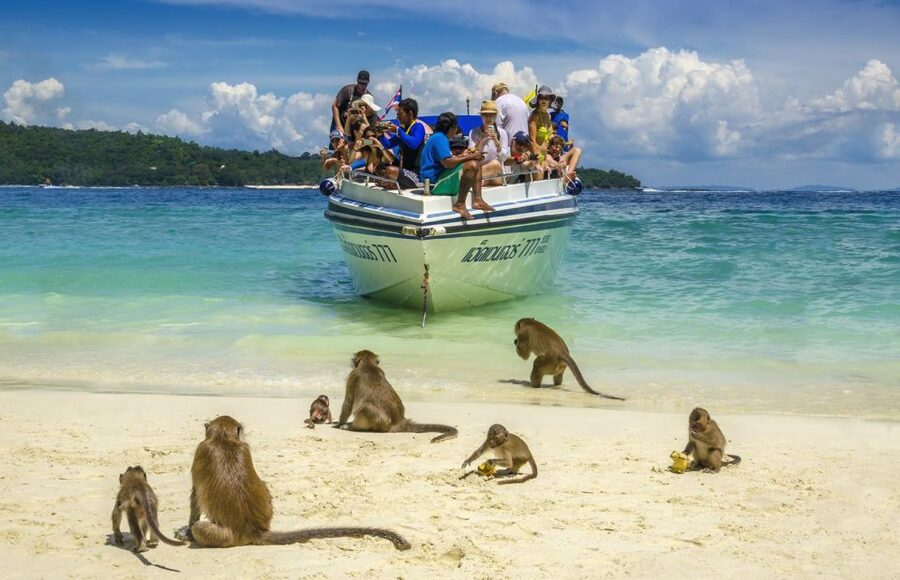 Khao Lak: Phi Phi Island, Maya Beach and Snorkeling Day Trip - Buffet Lunch, Unlimited Portions, and Beachside Setup