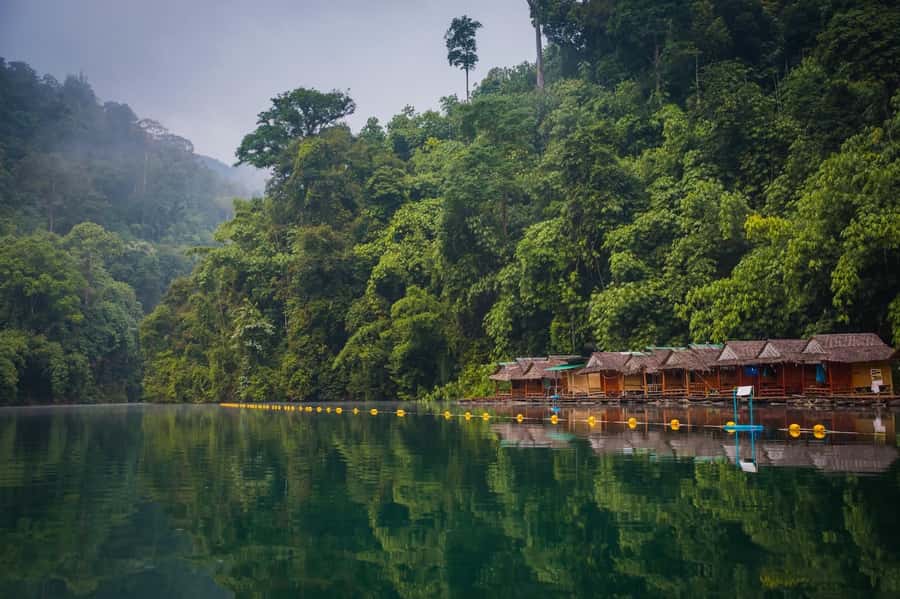 Khao Lak: Private Day Trip Khao Sok with Boat Tour & Lunch - Timing choices: early start for light, late start for fewer crowds