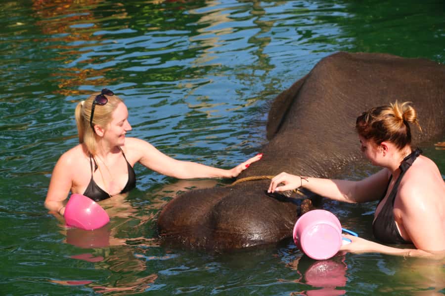 Khao Lak: Rafting, Elephant Bathing & Sea Turtle Center Tour - Sea Turtle Conservation Center, From Turtles to Real Conservation Work