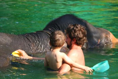 Rafting, Elephant Bathing & Sea Turtle Center Tour