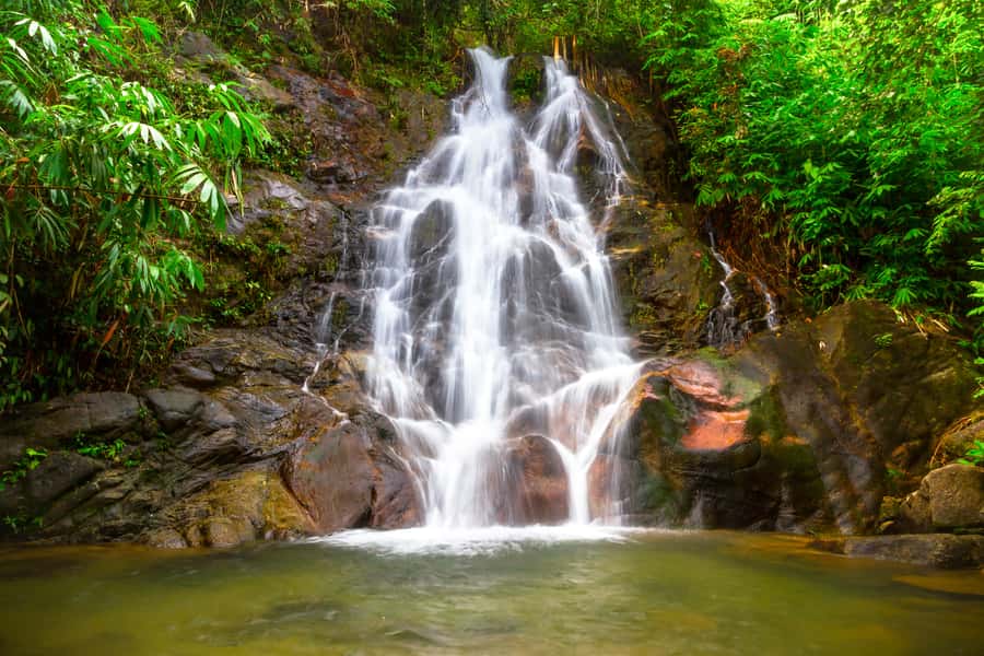 Khao Lak: Rafting, Elephant Bathing & Sea Turtle Center Tour - Thai Lunch by the River, Plus Snacks and Water Timing