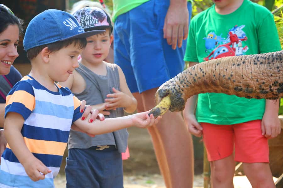 Khao Lak: Rafting, Elephant Bathing & Sea Turtle Center Tour - Price and Value at About $73: Where the Money Actually Goes