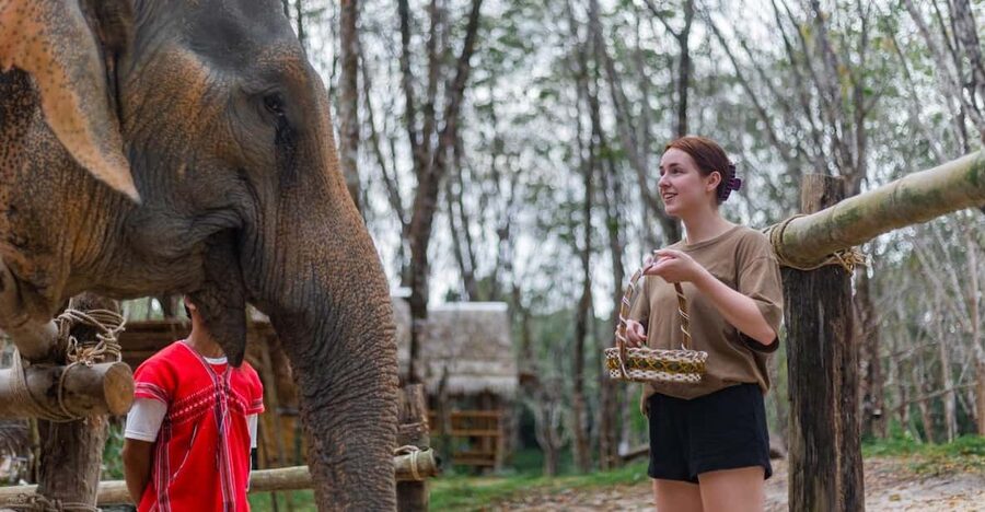 Khao Lak’s Best: Elephant Sanctuary,Rubber Tapping&Waterfall - The guide factor: Tony and the value of clear instructions