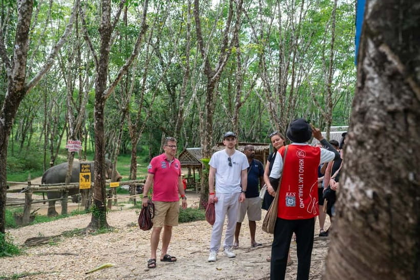 Khao Lak’s Best: Elephant Sanctuary,Rubber Tapping&Waterfall - Sai Rung Waterfall: relaxing swim time and Plan B