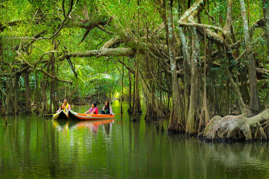 Khao Lak's Little Amazon: Canoe, Trek & Waterfall Day Trip - Khao Lak pickup and the road into Phang Nga