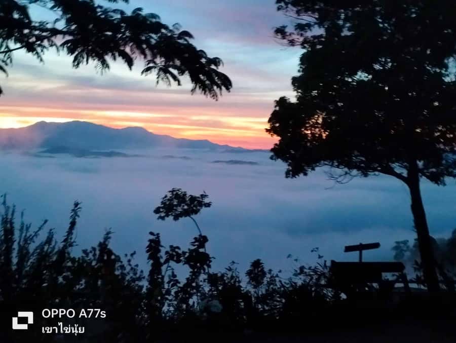 Khao Lak: Sea of Fog on Hill & Sunrise at Khao Khai Nui - Key highlights you should know before you book