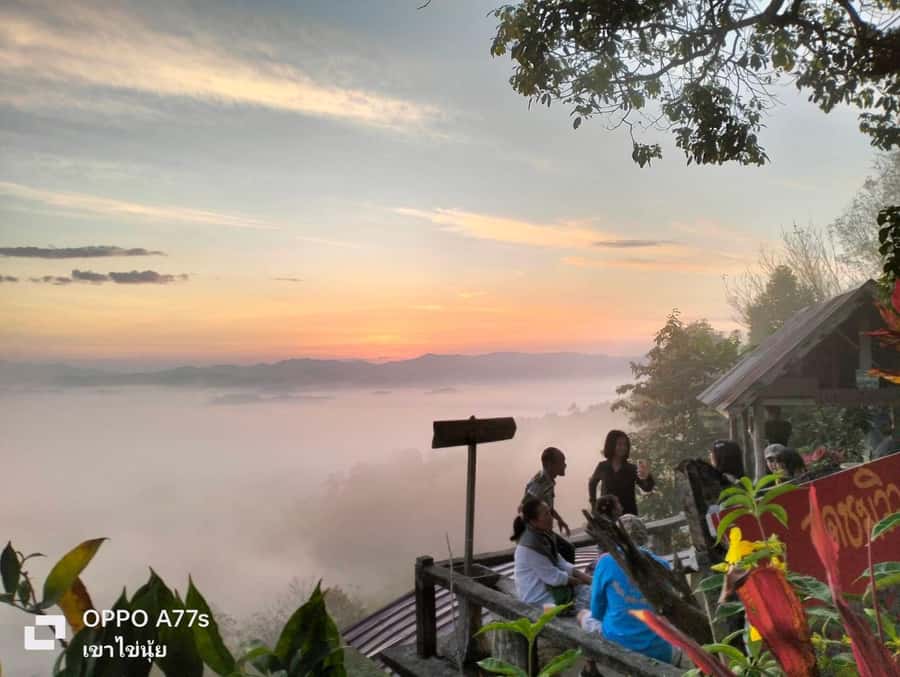 Khao Lak: Sea of Fog on Hill & Sunrise at Khao Khai Nui - Should You Book This Khao Lak Sunrise and Sea of Fog Tour?