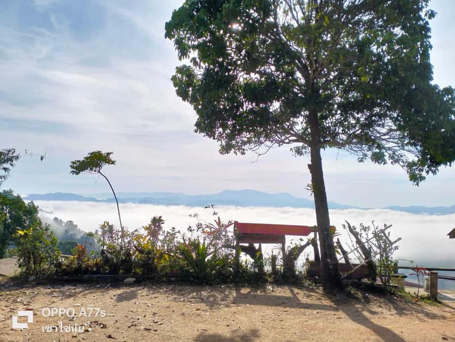 Khao Lak: Sea of Fog on Hill & Sunrise at Khao Khai Nui - Khao Khai Nui Office Stop: Sightseeing Time Built Around the Moment