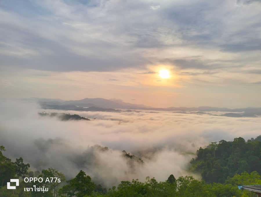 Khao Lak: Sea of Fog on Hill & Sunrise at Khao Khai Nui - Breakfast at the Hill: Small Thai Local Fare (Plan Like a Real Morning Person)