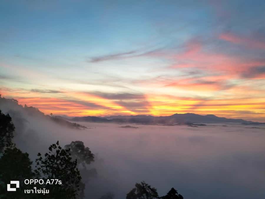 Khao Lak: Sea of Fog on Hill & Sunrise at Khao Khai Nui - Weather Reality for Sea of Fog at Khao Lak