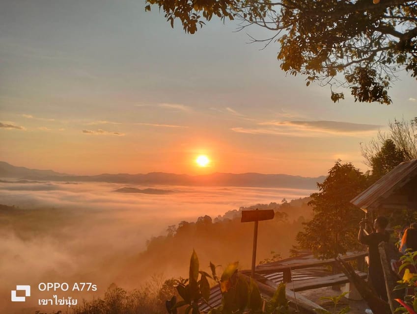 Khao Lak: Sea of Fog on Hill & Sunrise at Khao Khai Nui - Jeep Ride Value: Why This $78 Price Can Make Sense