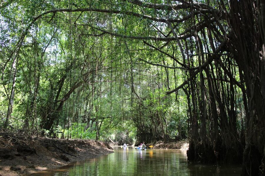 Khao Lak: Sri Phang Nga Canoe and Tam Nang Waterfall Tour - Key Highlights You Should Know