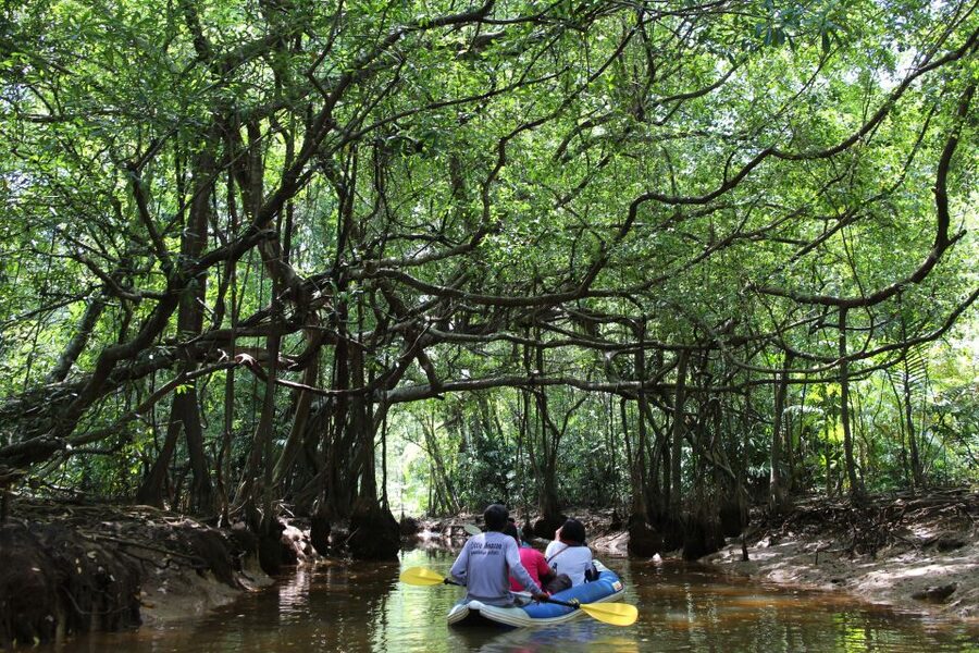 Khao Lak: Sri Phang Nga Canoe and Tam Nang Waterfall Tour - Takuapa Market Stop: Spices, Snacks, and How to Shop Without Worry