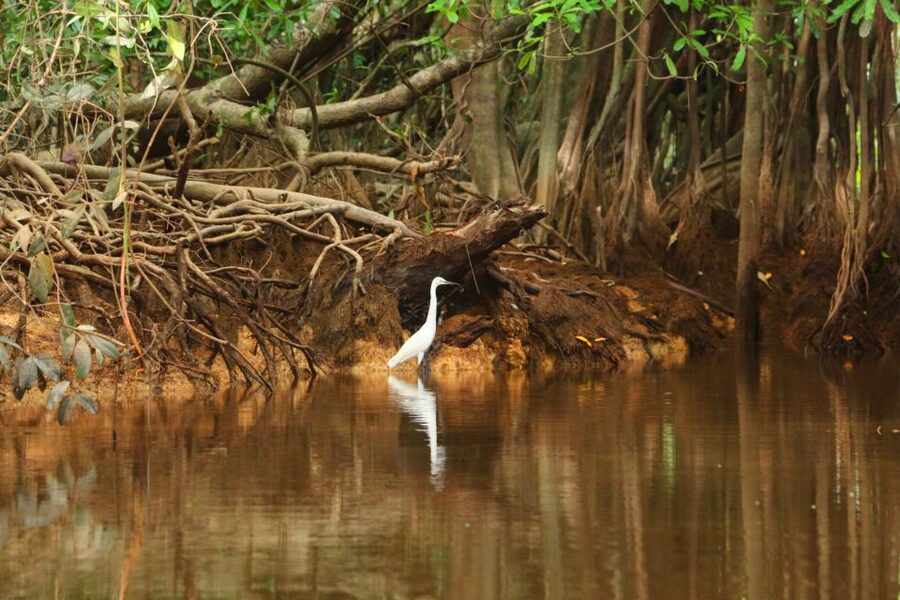 Khao Lak: Sri Phang Nga Canoe and Tam Nang Waterfall Tour - Timing, Group Size, and What to Expect During the Whole Day