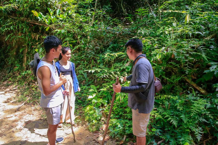 Khao Sok 2-Day Cheow Lan Lake, Wildlife & Ethical Elephants - Ethical elephants: observation-only, enrichment walks, and mud spa on their terms